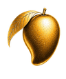aam e khaas logo